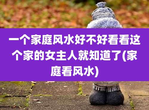 一个家庭风水好不好看看这个家的女主人就知道了(家庭看风水)