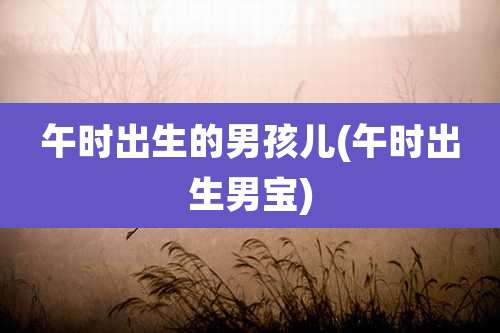 午时出生的男孩儿(午时出生男宝)