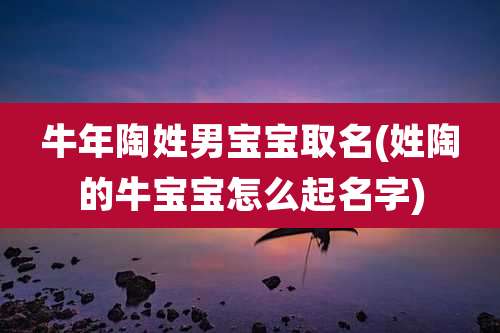 牛年陶姓男宝宝取名(姓陶的牛宝宝怎么起名字)