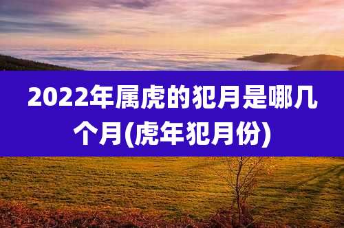 2022年属虎的犯月是哪几个月(虎年犯月份)