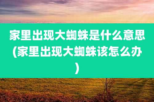 家里出现大蜘蛛是什么意思(家里出现大蜘蛛该怎么办)