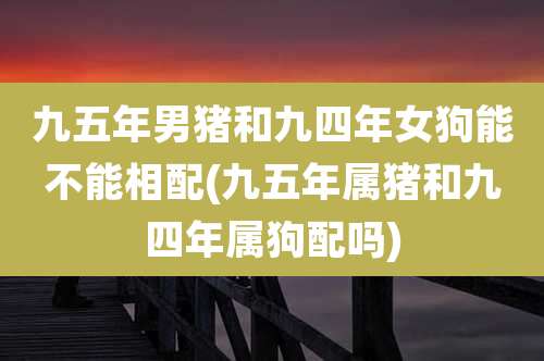九五年男猪和九四年女狗能不能相配(九五年属猪和九四年属狗配吗)