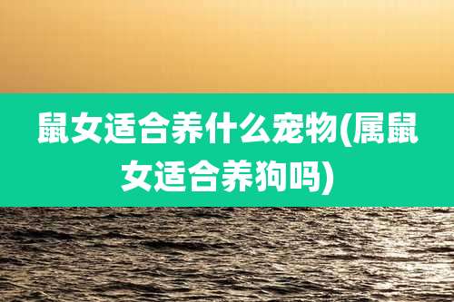 鼠女适合养什么宠物(属鼠女适合养狗吗)