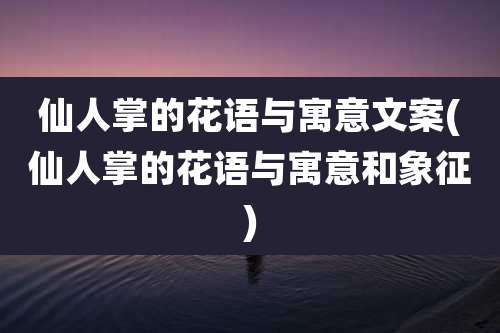仙人掌的花语与寓意文案(仙人掌的花语与寓意和象征)