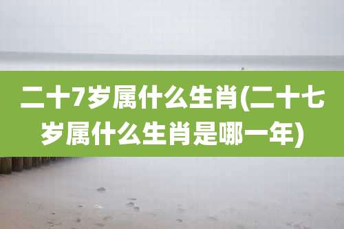 二十7岁属什么生肖(二十七岁属什么生肖是哪一年)