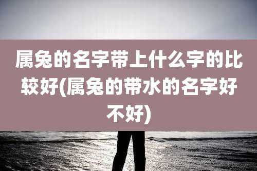 属兔的名字带上什么字的比较好(属兔的带水的名字好不好)