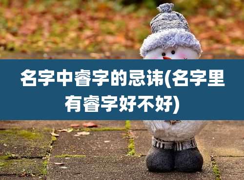 名字中睿字的忌讳(名字里有睿字好不好)