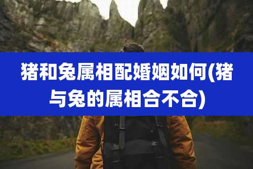 猪和兔属相配婚姻如何(猪与兔的属相合不合)