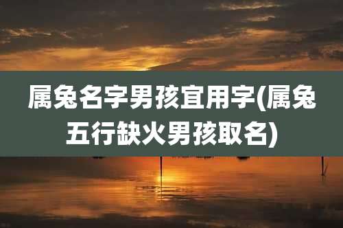 属兔名字男孩宜用字(属兔五行缺火男孩取名)