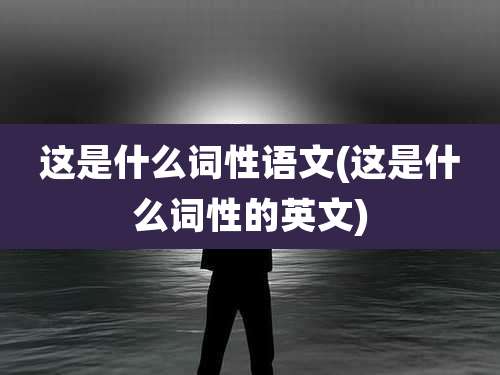 这是什么词性语文(这是什么词性的英文)
