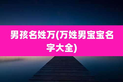 男孩名姓万(万姓男宝宝名字大全)