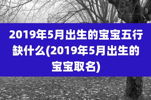 2019年5月出生的宝宝五行缺什么(2019年5月出生的宝宝取名)