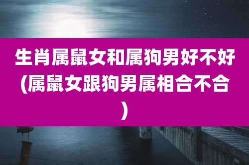 生肖属鼠女和属狗男好不好(属鼠女跟狗男属相合不合)