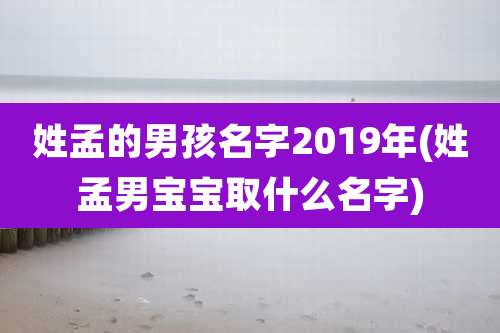 姓孟的男孩名字2019年(姓孟男宝宝取什么名字)