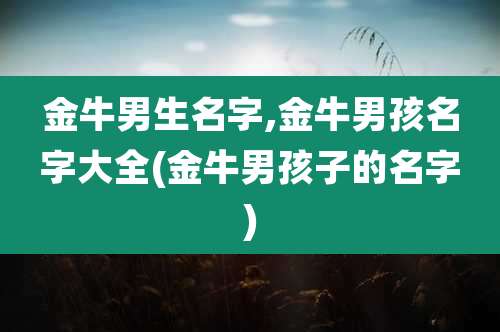 金牛男生名字,金牛男孩名字大全(金牛男孩子的名字)