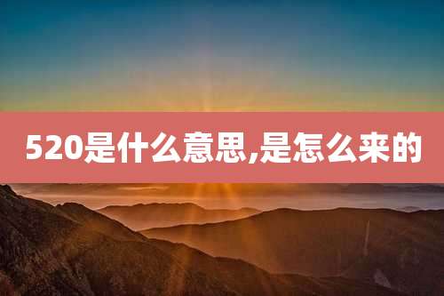 520是什么意思,是怎么来的