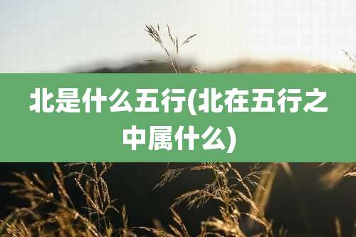 北是什么五行(北在五行之中属什么)