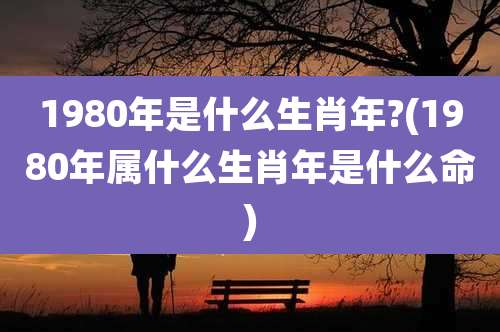 1980年是什么生肖年?(1980年属什么生肖年是什么命)