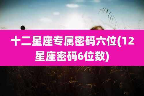 十二星座专属密码六位(12星座密码6位数)