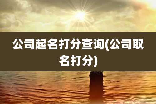 公司起名打分查询(公司取名打分)