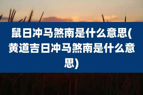鼠日冲马煞南是什么意思(黄道吉日冲马煞南是什么意思)