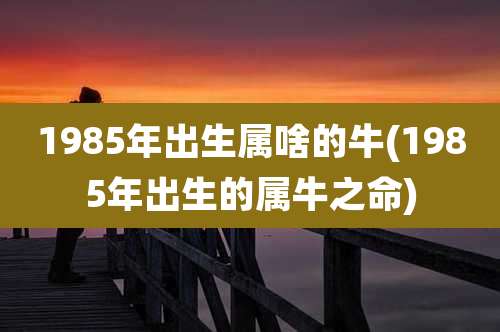 1985年出生属啥的牛(1985年出生的属牛之命)