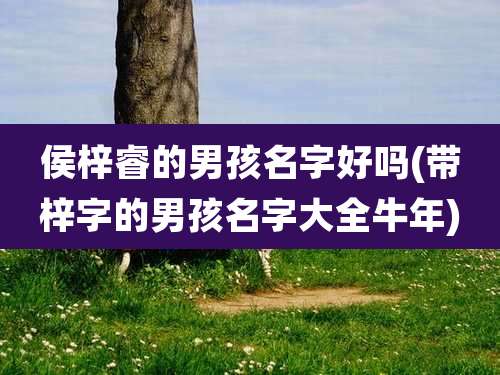 侯梓睿的男孩名字好吗(带梓字的男孩名字大全牛年)