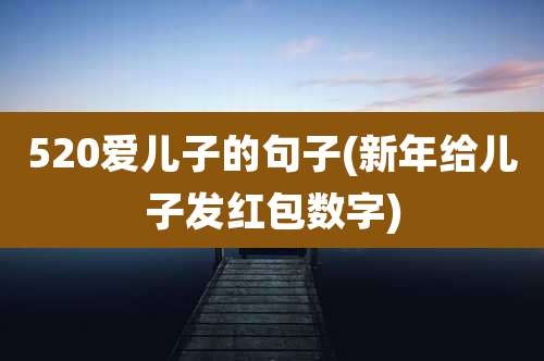520爱儿子的句子(新年给儿子发红包数字)