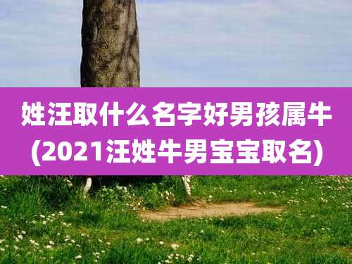 姓汪取什么名字好男孩属牛(2021汪姓牛男宝宝取名)