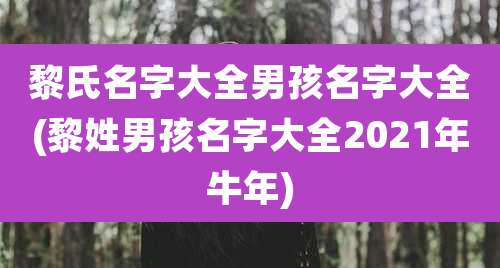 黎氏名字大全男孩名字大全(黎姓男孩名字大全2021年牛年)
