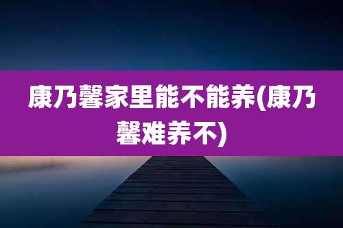 康乃馨家里能不能养(康乃馨难养不)