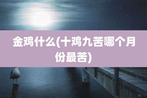 金鸡什么(十鸡九苦哪个月份最苦)