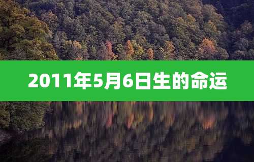2011年5月6日生的命运