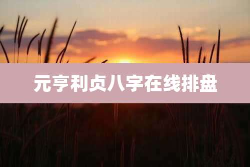 元亨利贞八字在线排盘