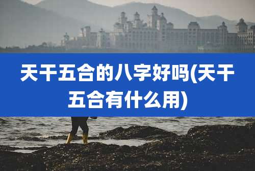 天干五合的八字好吗(天干五合有什么用)