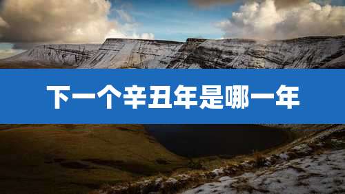 下一个辛丑年是哪一年