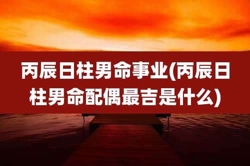 丙辰日柱男命事业(丙辰日柱男命配偶最吉是什么)