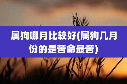 属狗哪月比较好(属狗几月份的是苦命最苦)
