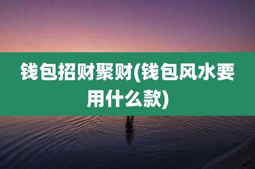 钱包招财聚财(钱包风水要用什么款)