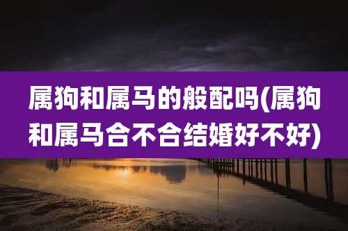 属狗和属马的般配吗(属狗和属马合不合结婚好不好)