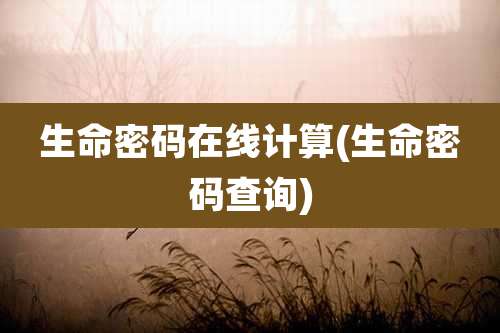 生命密码在线计算(生命密码查询)