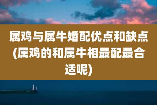 属鸡与属牛婚配优点和缺点(属鸡的和属牛相最配最合适呢)