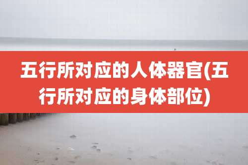 五行所对应的人体器官(五行所对应的身体部位)