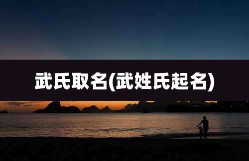 武氏取名(武姓氏起名)