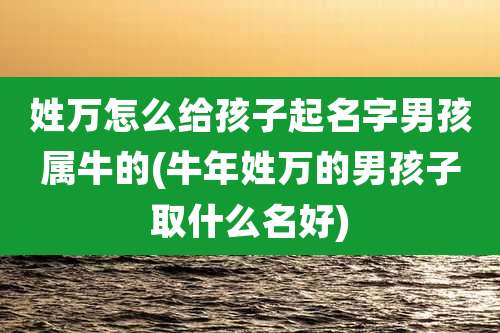 姓万怎么给孩子起名字男孩属牛的(牛年姓万的男孩子取什么名好)
