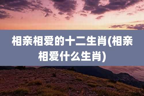 相亲相爱的十二生肖(相亲相爱什么生肖)
