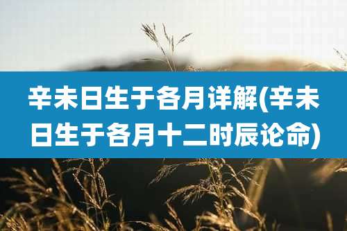 辛未日生于各月详解(辛未日生于各月十二时辰论命)