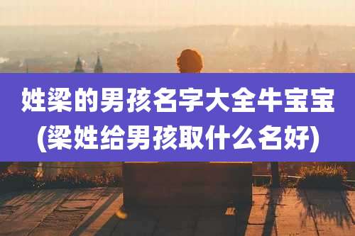 姓梁的男孩名字大全牛宝宝(梁姓给男孩取什么名好)
