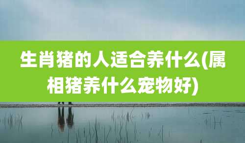 生肖猪的人适合养什么(属相猪养什么宠物好)