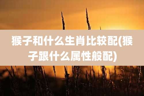 猴子和什么生肖比较配(猴子跟什么属性般配)